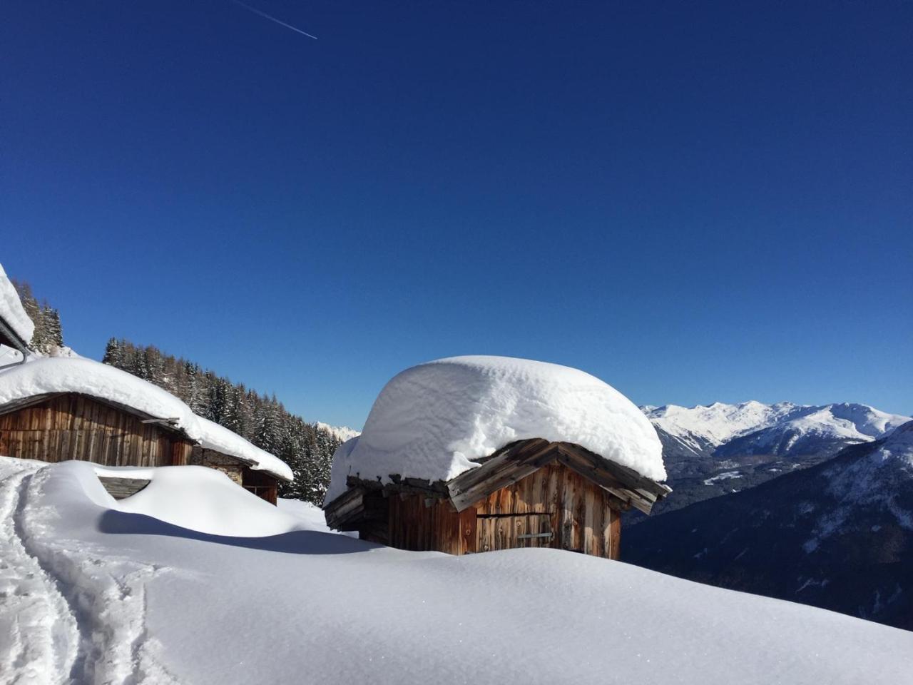 Appartement Alpenferienwohnung Strickner